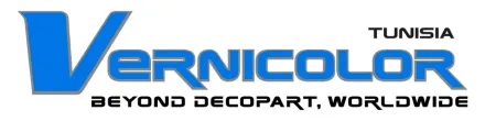 VERNICOLOR Logo - Industrial EnergySave Client